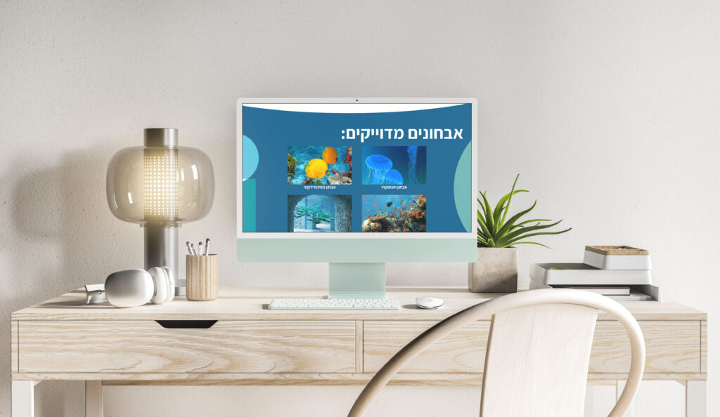 עיצוב אתר ל"מיקוד"