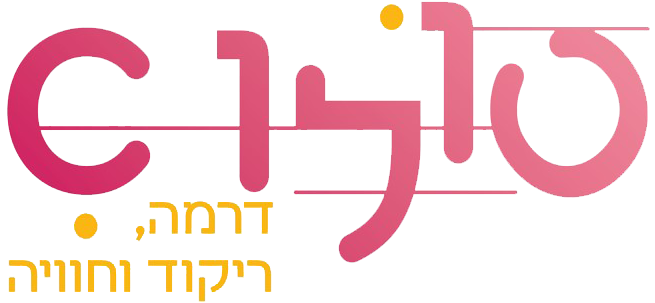 לוגו של לקוחה- סולו שיא